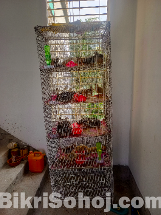 স্বল্পমূল্যে পাঁচ তলা বিশিষ্ট পাখির খাঁচা বিক্রি